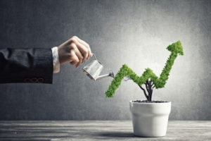 Business Growth Metaphor